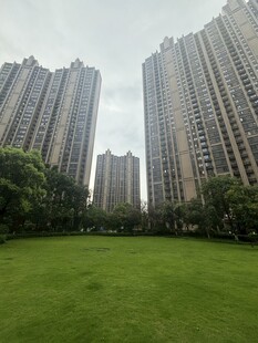 城市草坪旁的高楼景观