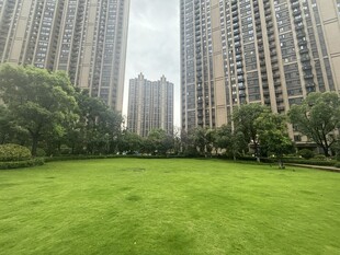 城市中的大片绿地景观