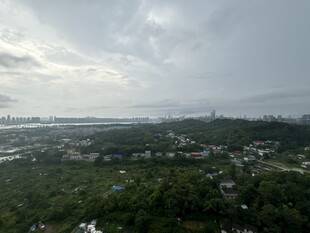 俯瞰绿树环绕的开阔景致