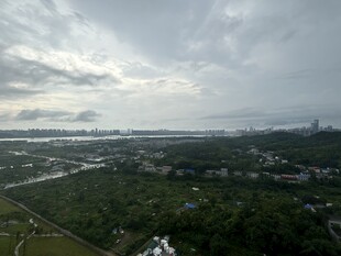 俯瞰城市与绿地景观