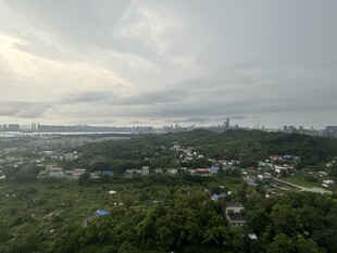 俯瞰绿意盎然的城市景观