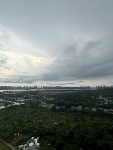 乌云笼罩下的城市与森林