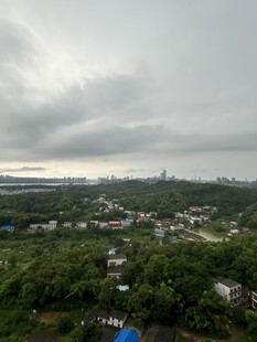 俯瞰绿树环绕的城市景观