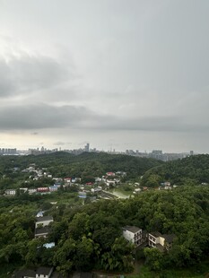 阴天俯瞰绿树环绕的城镇