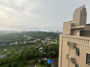 高层视角下的城市绿意景观