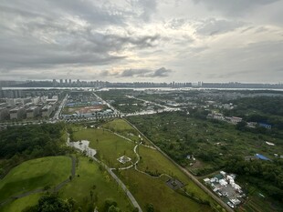城市绿地鸟瞰景观