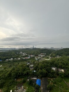 俯瞰绿树环绕的城镇景观