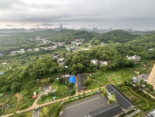 俯瞰绿意盎然的城郊景色