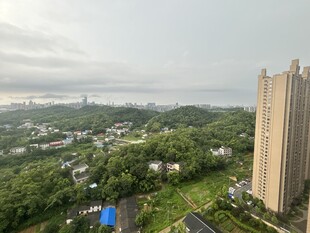 高层俯瞰城市绿意景观