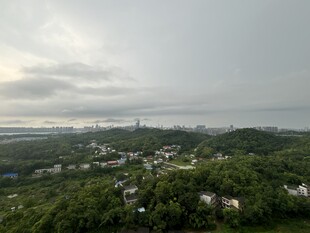 俯瞰绿意盎然的城市景观