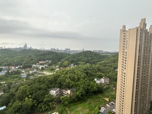 高层俯瞰城市与绿意景观