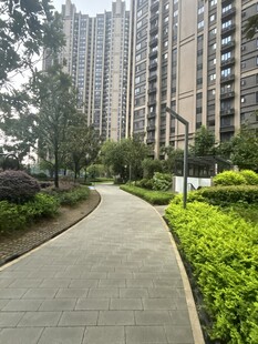 小区内的幽静步道与绿植