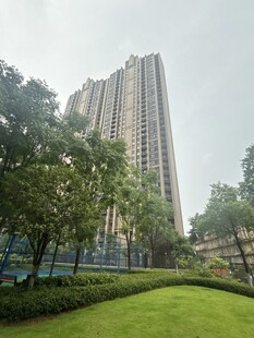 高层住宅旁的绿意景观