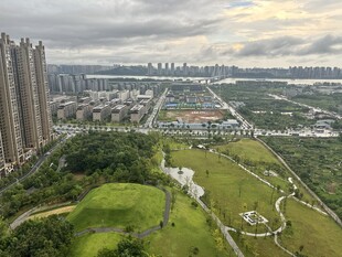 城市绿地与高楼景观
