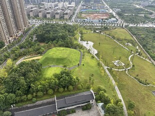 城市中的绿意盎然公园景观