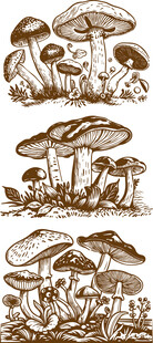 手绘蘑菇图案集合