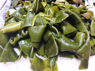 新鲜海带结