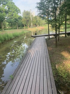 林间木栈道