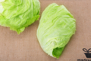 新鲜生菜叶片展示