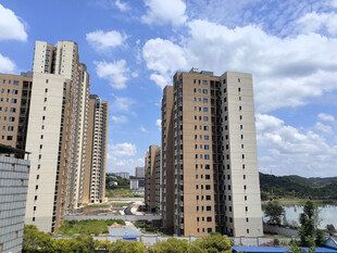城市高楼外观与河畔风光