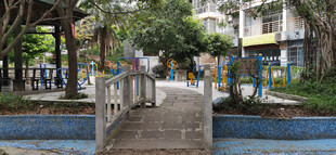 小区漫步小桥小道风景