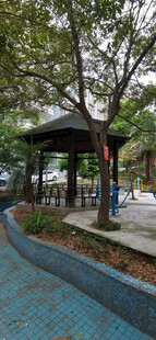公园中的干涸水池与休息凉亭景观