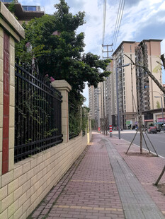 城市街边的人行道与建筑