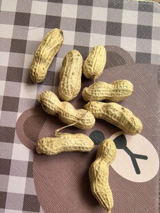 散落的带壳花生