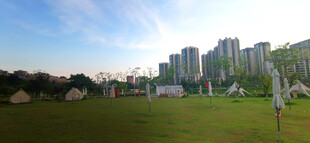 城市绿地旁的高楼景观