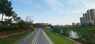 城市中的宁静公路景观