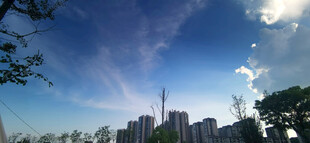 城市天际线与蓝天绿树