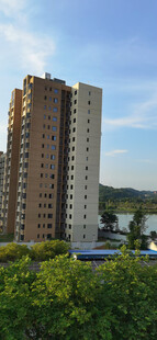 高层住宅旁的绿植景观