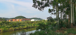 乡村河畔自然风光美景