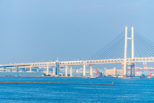 海上大桥壮观景致
