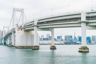 城市跨海大桥景观