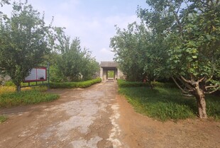 乡间果园小路