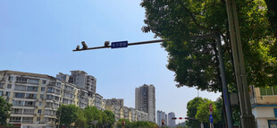 路口抓拍设备
