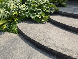 石板小径旁的绿植景观