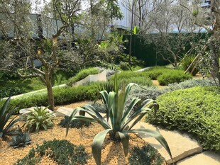 精致园林景观一角