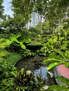 城市中的静谧绿植小池塘