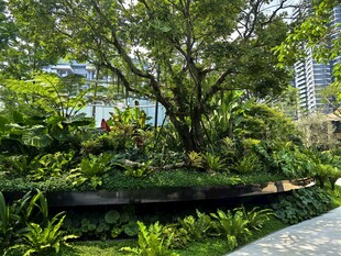 城市中的静谧绿植景观