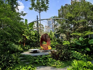 绿植 景观 花园