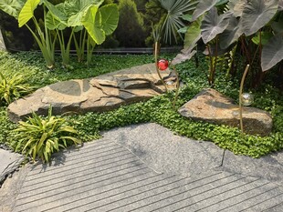 日式庭院石径绿植景观