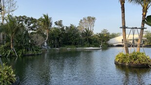 湖畔绿植环绕的宁静风光