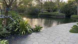 宁静庭院中的清幽水景