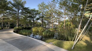 宁静宜人的户外园林景观