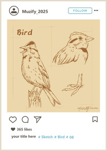 鸟类素描画