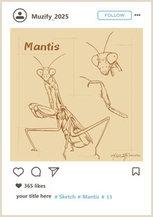 螳螂 素描画