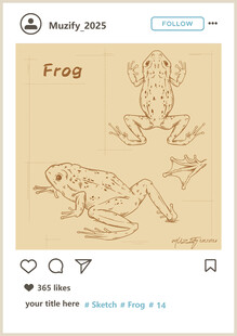 青蛙 素描画