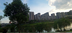 城市湖畔风景